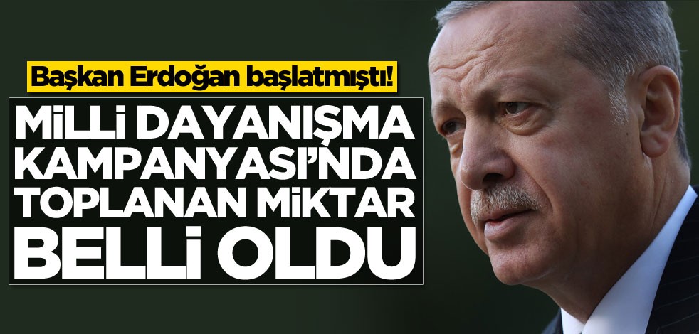 Başkan Erdoğan başlatmıştı! Milli Dayanışma Kampanyası'ndan toplanan miktar belli oldu