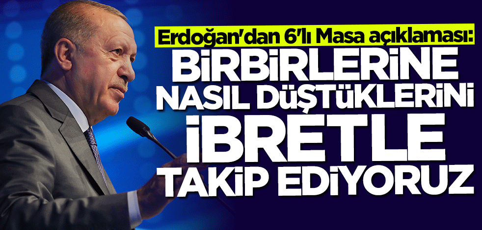 Başkan Erdoğan: Birbirlerine nasıl düştüklerini ibretle takip ediyoruz