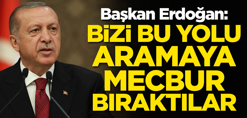 Başkan Erdoğan: Bizi bu yolu aramaya mecbur bıraktılar