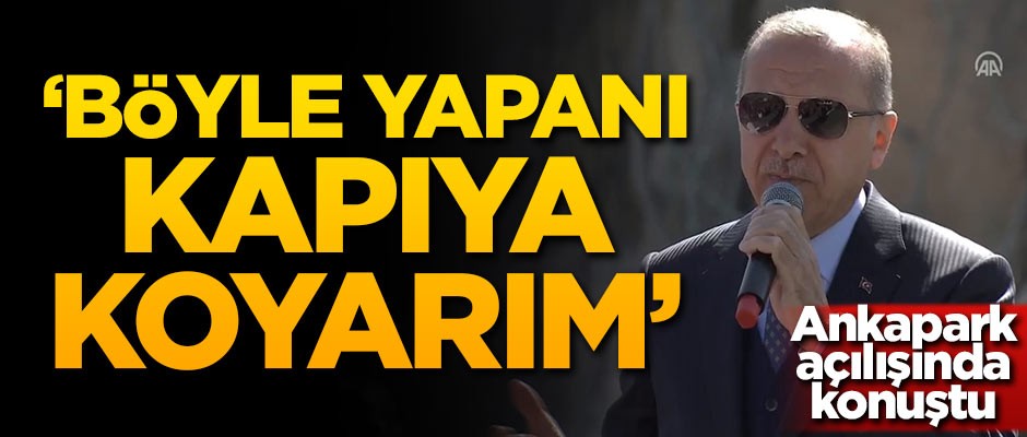 Başkan Erdoğan: Böyle yapanı kapıya koyarım