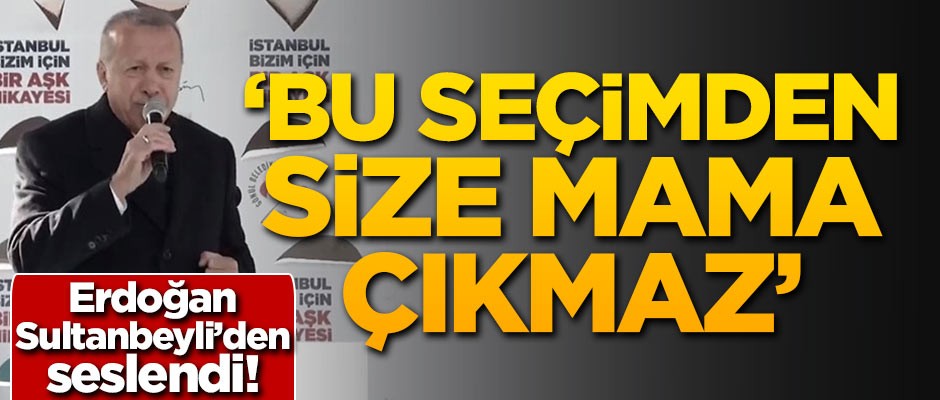 Başkan Erdoğan: Bu seçimden size mama çıkmaz