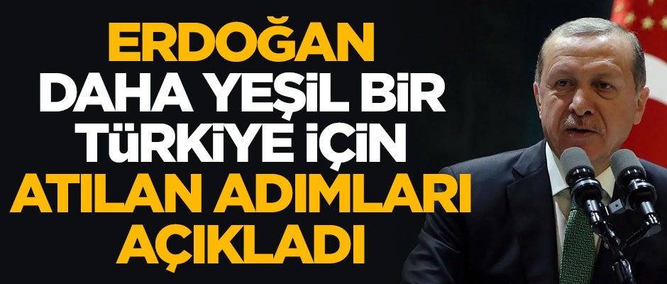 Başkan Erdoğan daha yeşil bir Türkiye için atılan adımları açıkladı
