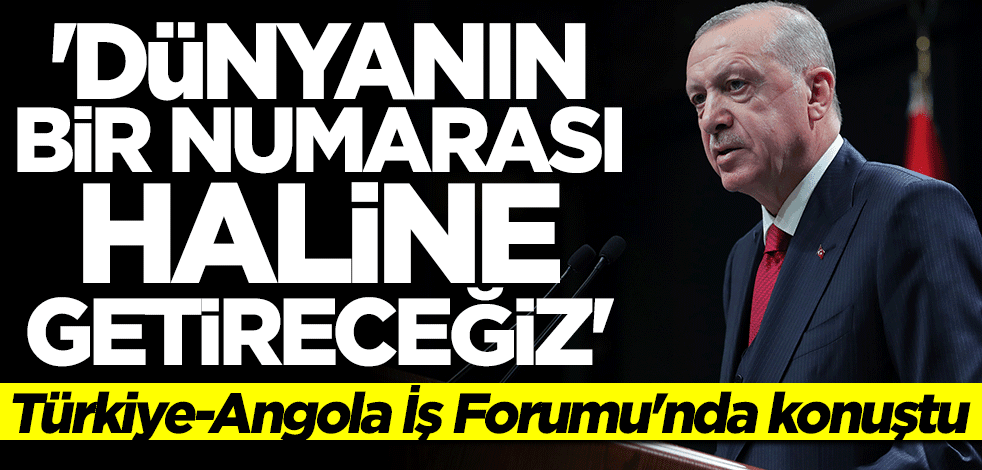 Başkan Erdoğan: Dünyanın bir numarası haline getireceğiz