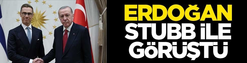Erdoğan, Stubb ile görüştü