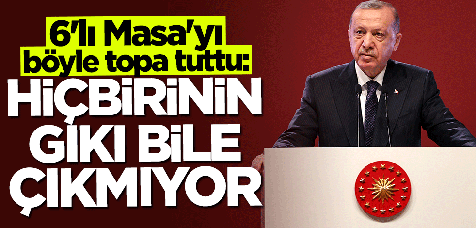 Başkan Erdoğan: Hiçbirinin gıkı bile çıkmıyor