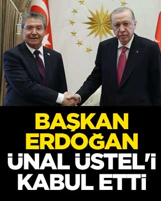 Başkan Erdoğan, Ünal Üstel'i kabul etti