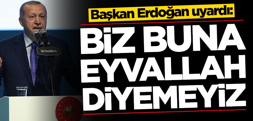 Başkan Erdoğan konuştu: Buna eyvallah diyemeyiz