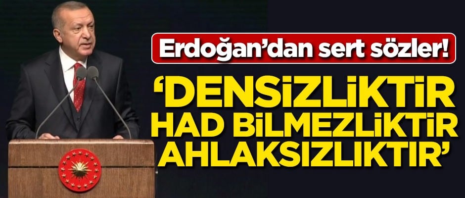 Başkan Erdoğan'dan sert sözler: Densizliktir had bilmezliktir ahlaksızlıktır