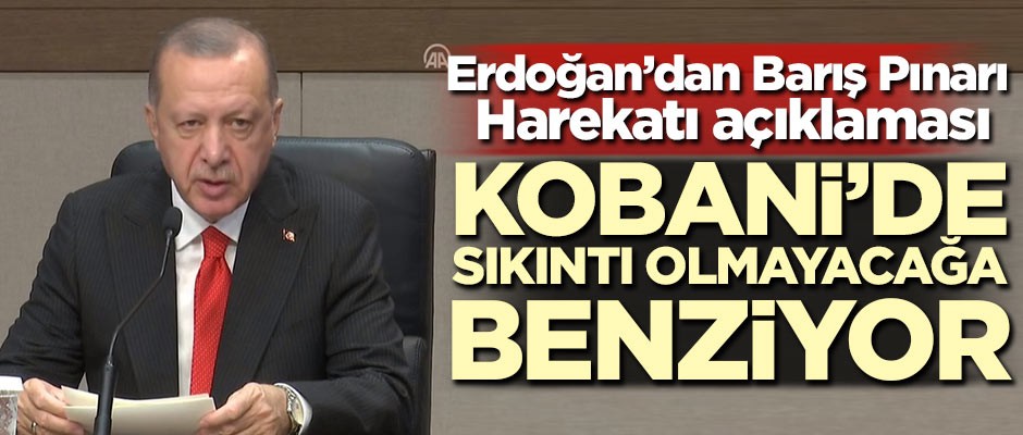 Başkan Erdoğan'dan Barış Pınarı Harekatı açıklaması: Kobani'de sıkıntı olmayacağa benziyor