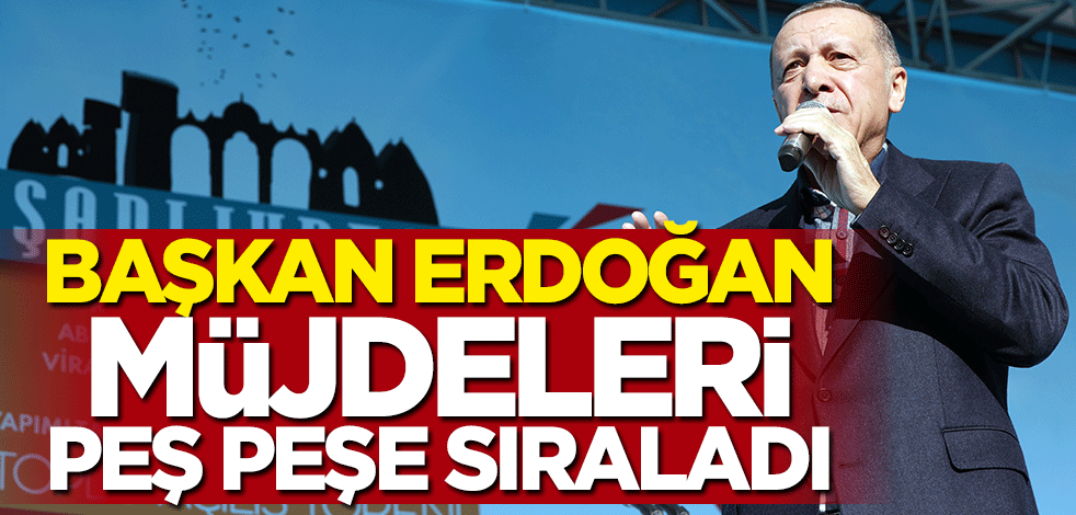 Başkan Erdoğan'dan pamuk ve ayçiçeği üreticilerine müjde