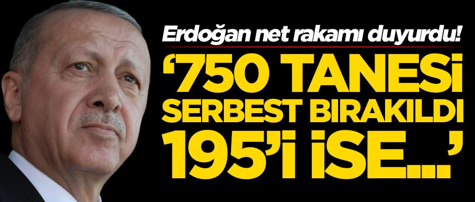 Başkan Erdoğan net rakamı duyurdu: 750'si serbest bırakıldı, 195'i ise...