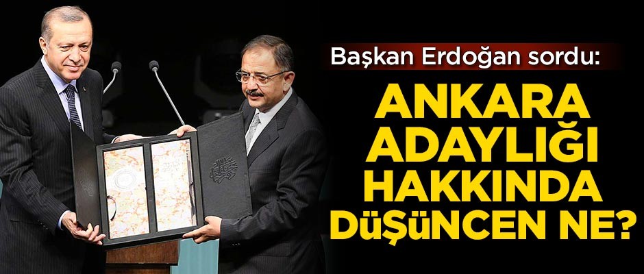 Başkan Erdoğan sordu: Ankara adaylığı hakkında düşüncen ne?