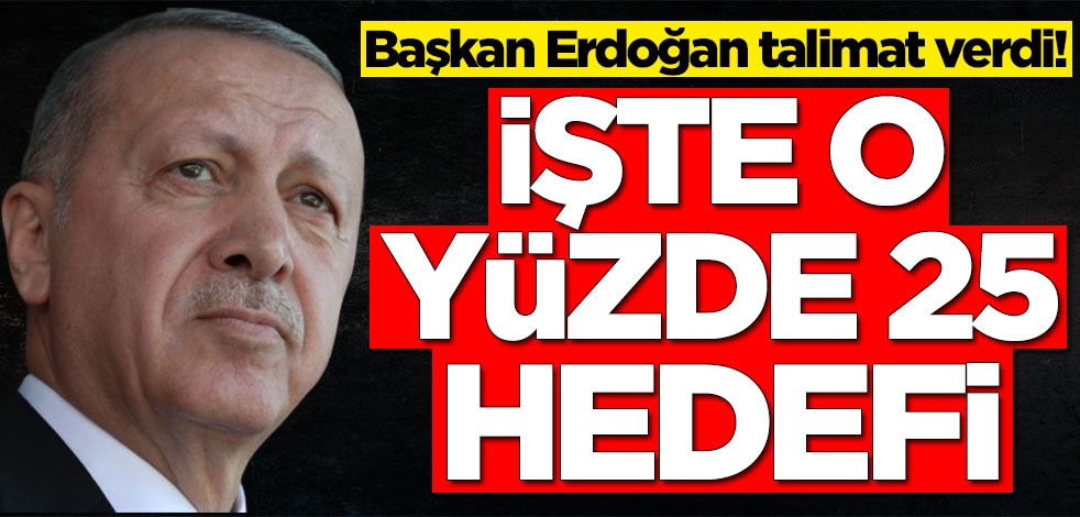 Başkan Erdoğan talimat verdi! İşte o yüzde 25 hedefi