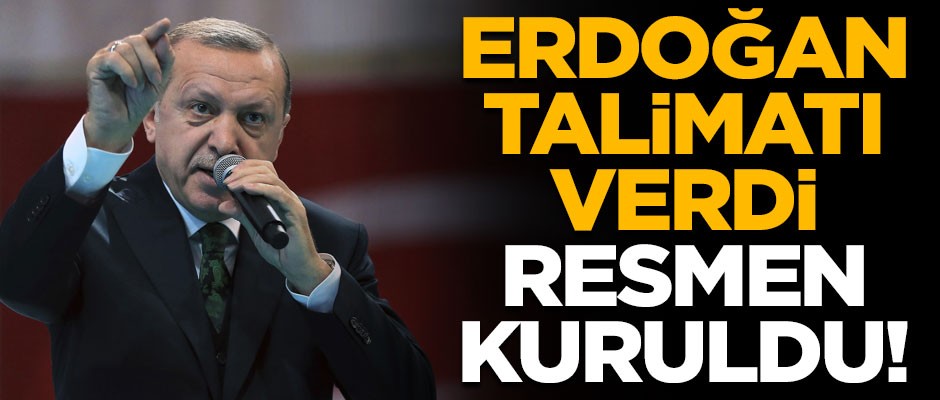 Başkan Erdoğan talimatı verdi! Resmen kuruldu