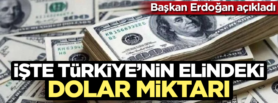 Başkan Erdoğan Türkiye'nin elindeki dolar miktarını açıkladı