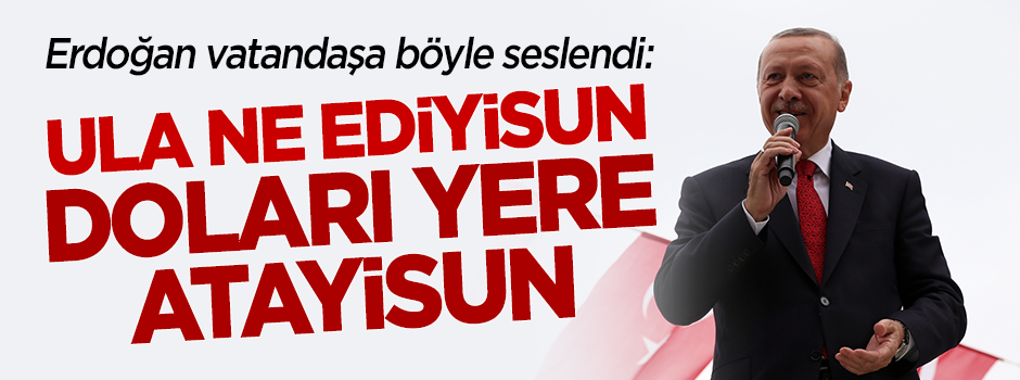 Başkan Erdoğan: Ula ne ediyisun, doları yere atayisun!