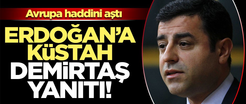 Başkan Erdoğan'a küstah yanıt! 'Demirtaş, hemen serbest bırakılmalı'