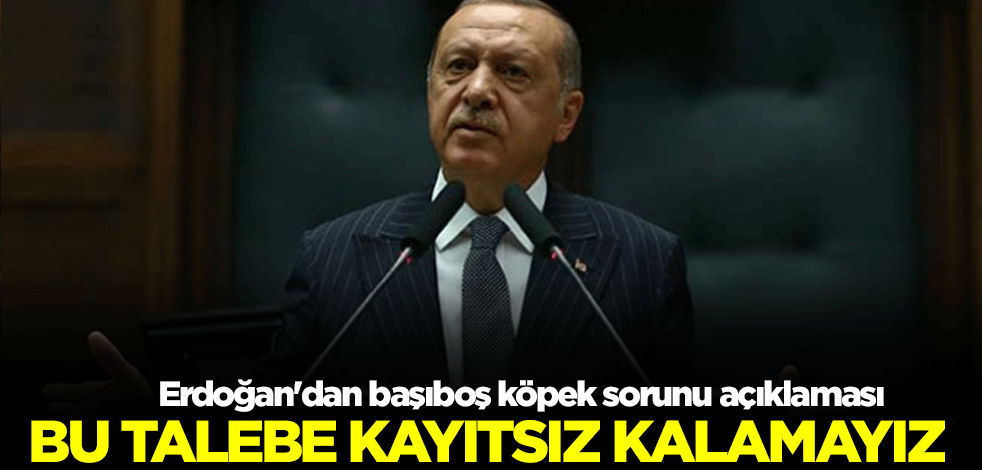 Başkan Erdoğan'dan başıboş köpek sorunu açıklaması