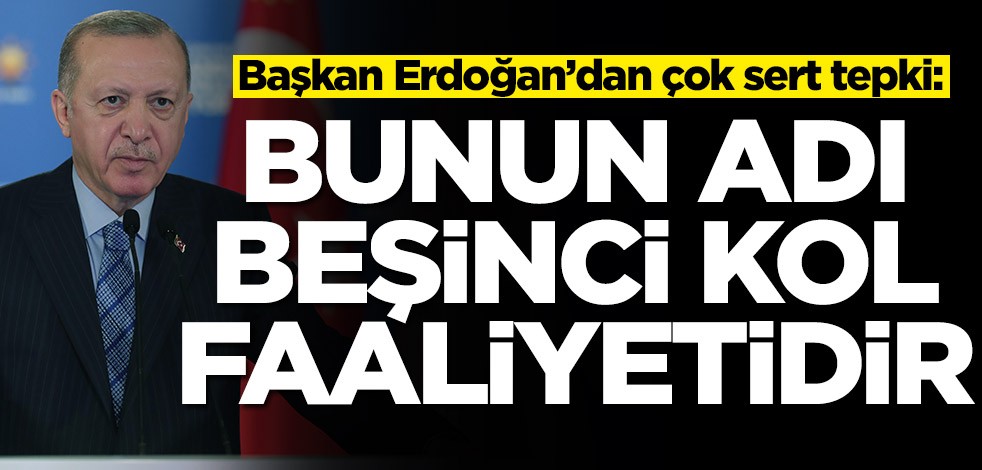 Başkan Erdoğan'dan çok sert tepki: Bunu adı beşinci kol faaliyetidir