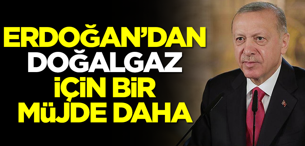 Başkan Erdoğan'dan doğalgaz için bir müjde daha! Yüzde 42 indirim