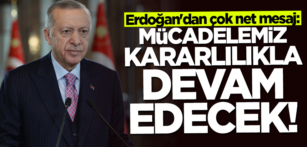 Başkan Erdoğan'dan "Dünya İnsan Hakları Günü" mesajı: Mücadelemiz kararlılıkla devam edecek