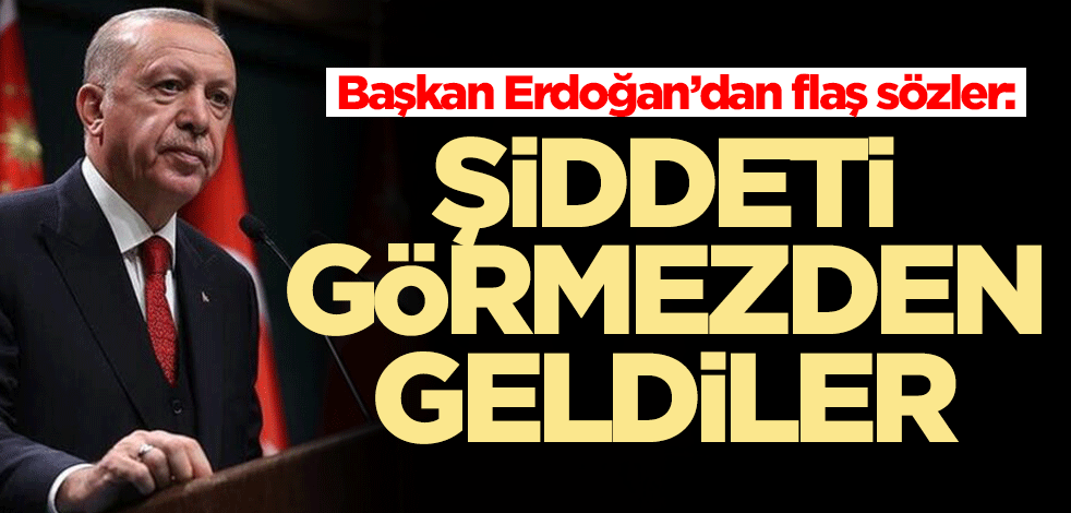 Başkan Erdoğan'dan flaş sözler: Şiddeti görmezden geldiler