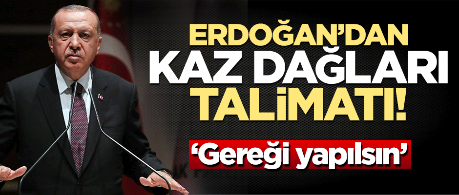 Başkan Erdoğan'dan 'Kaz Dağları' talimatı: Gereğini yapın