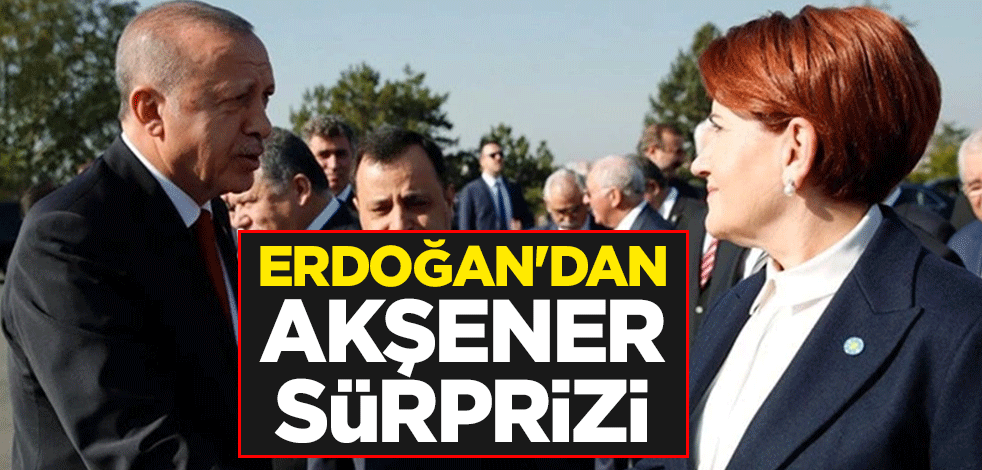 Başkan Erdoğan'dan Meral Akşener sürprizi