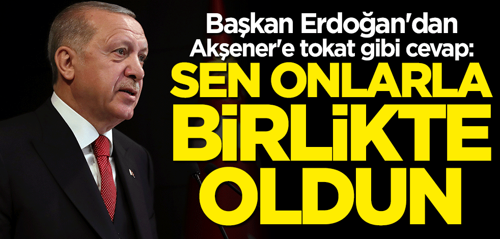Başkan Erdoğan'dan Meral Akşener'e sert tepki: Yolun açık olsun
