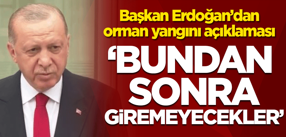 Başkan Erdoğan'dan önemli açıklamalar! Orman yangınlarında son durum