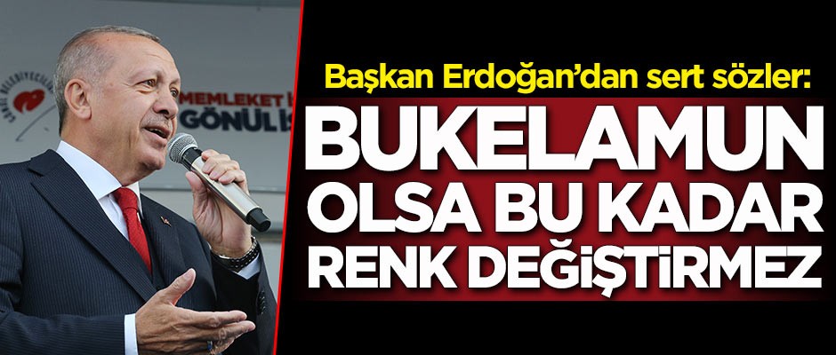 Başkan Erdoğan'dan sert sözler: Bukelamun olsa bu kadar renk değiştirmez