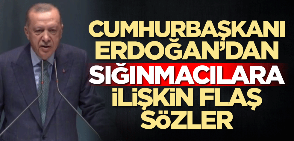 Başkan Erdoğan'dan sığınmacılara ilişkin flaş sözler