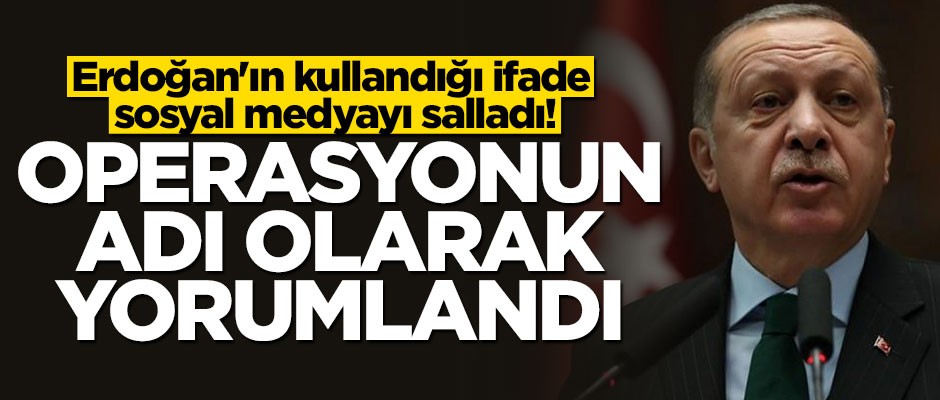 Başkan Erdoğan'ın 'Barış Pınarı' sözleri operasyonun adı olarak yorumlandı