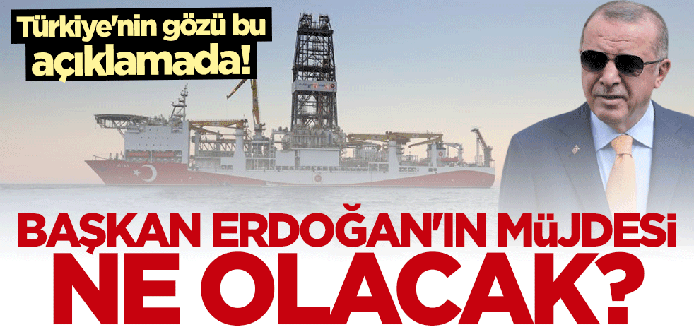 Başkan Erdoğan'ın müjdesi ne olacak? Uzmanlar açıkladı