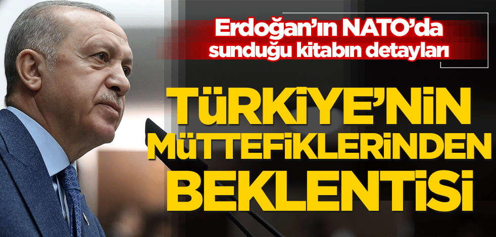 Başkan Erdoğan’ın NATO’da sunduğu kitabın detayları! Türkiye’nin müttefiklerinden beklentisi