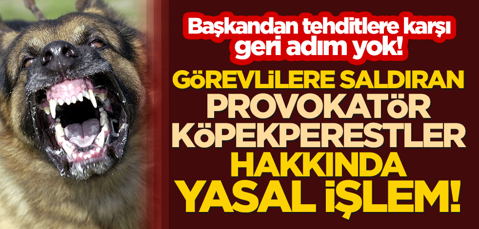 Başkan Murat Köse'den tehditlere karşı geri adım yok! Görevlilere saldıran provokatör köpekperestler hakkında yasal işlem başlatıldı!