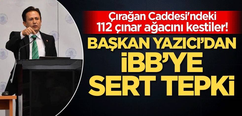 Başkan Yazıcı'dan Çırağan Caddesi'ndeki 112 çınar ağacını kesen İBB'ye sert tepki