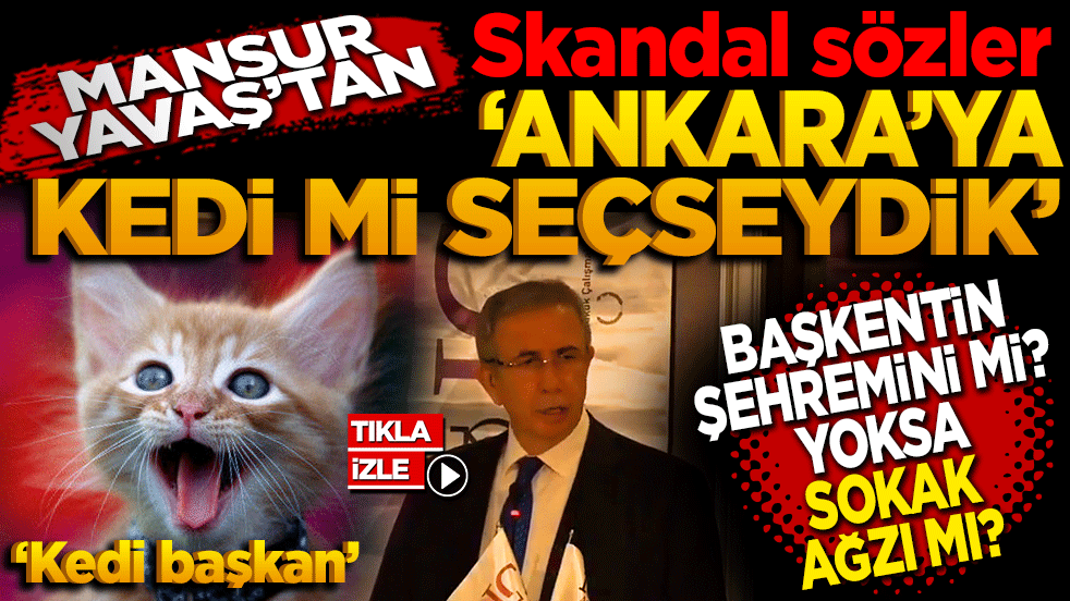 Başkentin şehremini mi, sokak ağzı mı? Mansur Yavaş’tan skandal sözler: ‘Ankara’ya kedi mi seçseydik?’?’