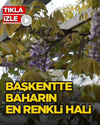 Başkentte baharın en renkli hali