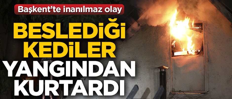 Başkent'te inanılmaz olay! Beslediği kediler yangından kurtardı