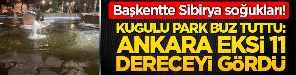 Başkentte Sibirya soğukları! Kuğulu Park buz tuttu: Ankara eksi 11 dereceyi gördü