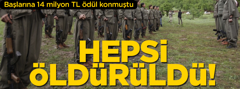 Başlarına 14 milyon TL ödül konulan 18 teröristin hepsi etkisiz hale getirildi
