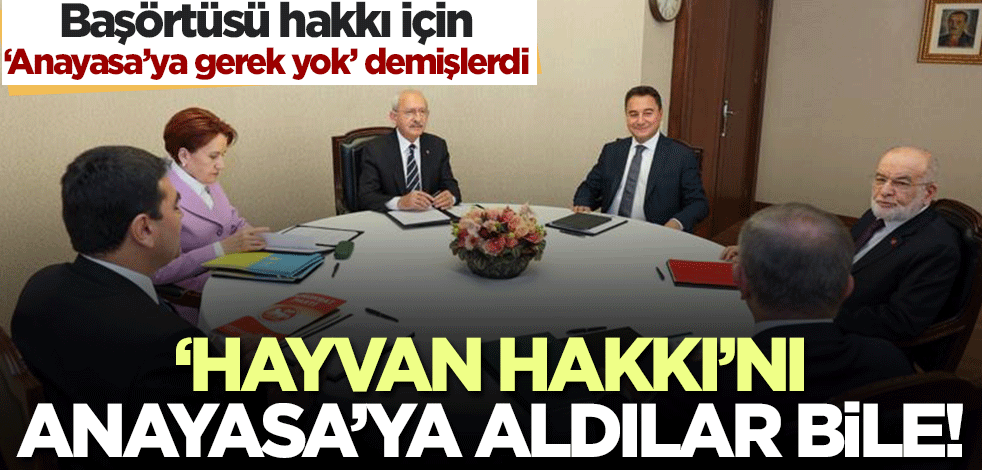 Başörtüsü hakkı için "Anayasa'ya gerek yok" diyenler, "hayvan hakları"nı anayasaya aldılar bile!