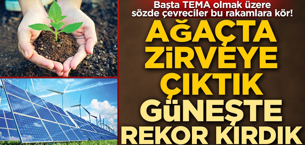 Başta TEMA olmak üzere sözde çevreciler bu rakamlara kör! Ağaçta zirveye çıktık ‘güneş’te rekor kırdık