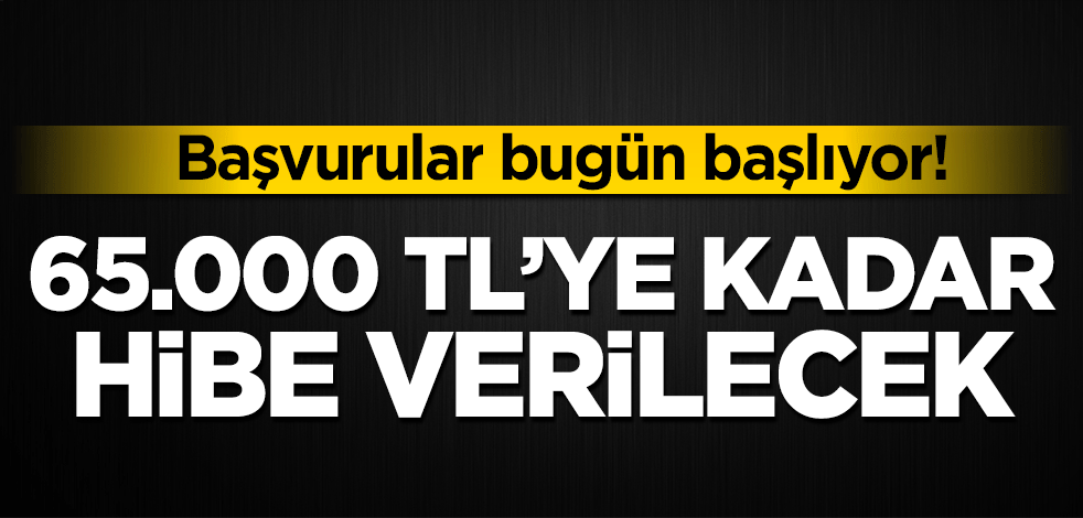 Başvurular bugün başlıyor! 65.000 TL'ye kadar hibe verilecek
