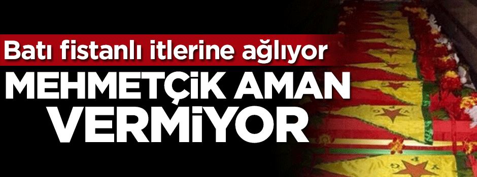 Batı fistanlı itlerine ağlıyor