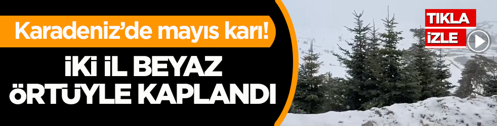 Batı Karadeniz’de mayıs karı! İki il beyaz örtüyle kaplandı