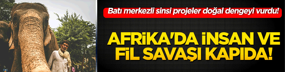 Batı merkezli sinsi projeler doğal dengeyi vurdu! İnsan ve fil savaşları başlayacak