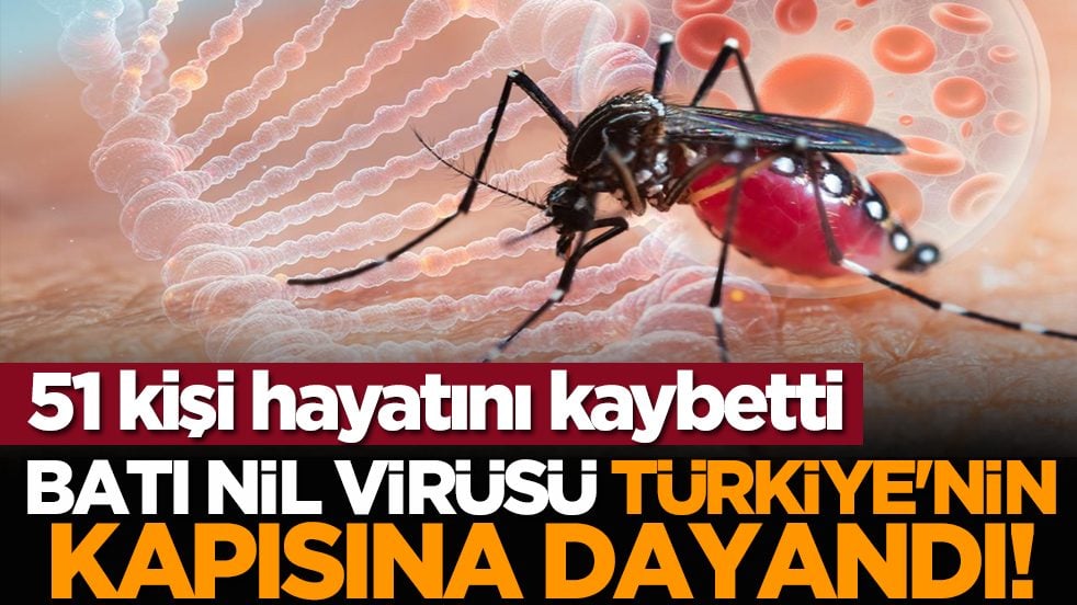 Batı Nil virüsü Türkiye'nin kapısına dayandı! 51 ölü