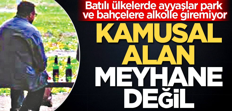 Batılı ülkelerde ayyaşlar park ve bahçelere alkolle giremiyor! Kamusal alan meyhane değil